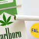 Imagen para el artículo titulado Otras 10 fotos virales en redes sociales pero completamente falsas